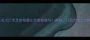 金毛犬口水里的细菌会危害健康吗真相口腔护理全攻略