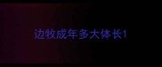 边牧成年多大体长