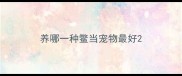 养哪一种鳖当宠物最好