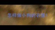 怎样做小狗的衣服
