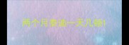 两个月泰迪一天几顿