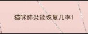 猫咪肺炎能恢复几率