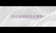 西安宠物医院在哪里