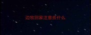 边牧回家注意些什么