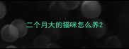 二个月大的猫咪怎么养