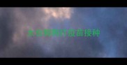 太仓狗狗打疫苗接种