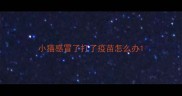 小猫感冒了打了疫苗怎么办