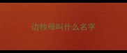 边牧母叫什么名字