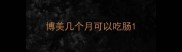 博美几个月可以吃肠