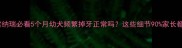 新手养雪纳瑞必看5个月幼犬频繁掉牙正常吗这些细节90家长都忽略了