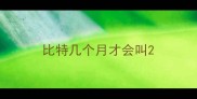 比特几个月才会叫