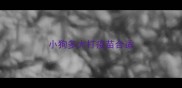 小狗多大打疫苗合适