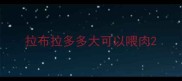 拉布拉多多大可以喂肉