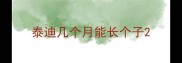 泰迪几个月能长个子