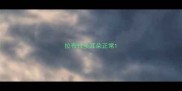 拉布拉多耳朵正常