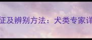 红鼻子拉布拉多纯种特征及辨别方法犬类专家详解FCI标准与饲养要点