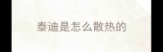 泰迪是怎么散热的