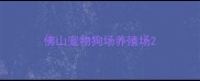 佛山宠物狗场养殖场