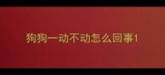 狗狗一动不动怎么回事
