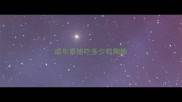 成年泰迪吃多少粒狗粮