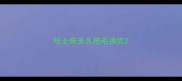 哈士奇多久把毛换完