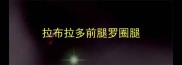 拉布拉多前腿罗圈腿