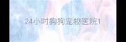 24小时狗狗宠物医院