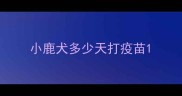 小鹿犬多少天打疫苗