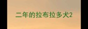 二年的拉布拉多犬