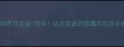一岁狗狗不打疫苗玩命幼犬疫苗的隐藏风险及补救措施