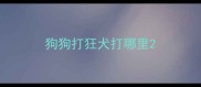 狗狗打狂犬打哪里
