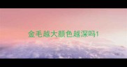 金毛越大颜色越深吗