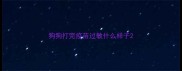 狗狗打完疫苗过敏什么样子