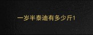 一岁半泰迪有多少斤