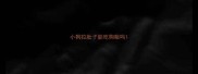 小狗拉肚子能吃狗粮吗