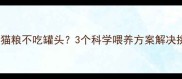 猫咪只吃猫粮不吃罐头3个科学喂养方案解决挑食难题