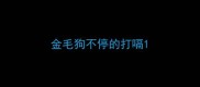 金毛狗不停的打嗝