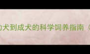 德牧成长时间表从幼犬到成犬的科学饲养指南附各阶段养护要点
