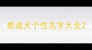 泰迪犬个性名字大全