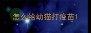 怎么给幼猫打疫苗