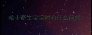 哈士奇生宝宝时有什么前兆