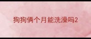 狗狗俩个月能洗澡吗