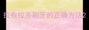 拉布拉多刷牙的正确方法