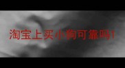 淘宝上买小狗可靠吗
