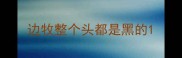 边牧整个头都是黑的