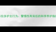 拉布拉多护主行为警惕性高背后的科学养护指南