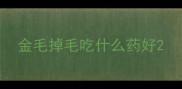 金毛掉毛吃什么药好