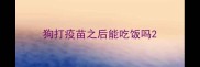 狗打疫苗之后能吃饭吗