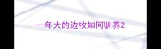 一年大的边牧如何驯养