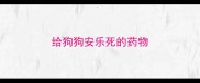 给狗狗安乐死的药物